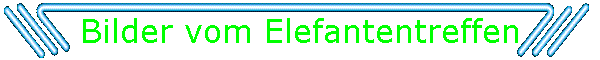 Bilder vom Elefantentreffen